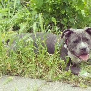 Meet your Posher, Zach